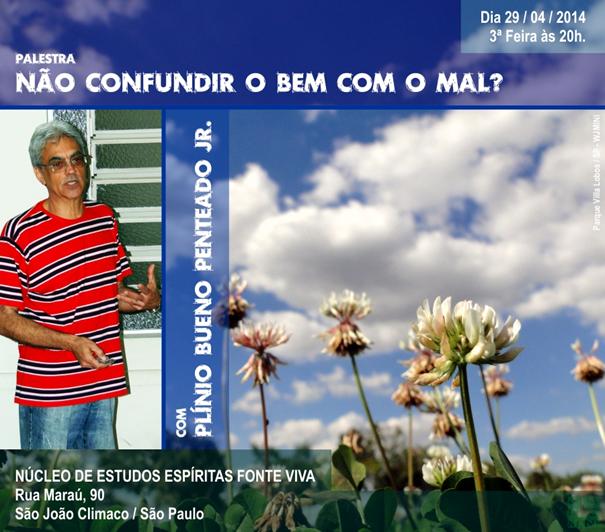 Imagem inline 1