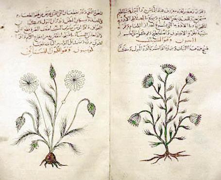 File:Arabic herbal medicine guidebook.jpeg