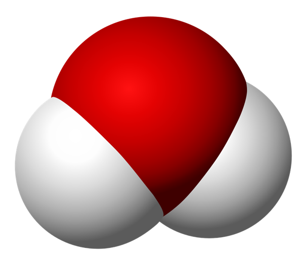 Space filling model of a water molecule