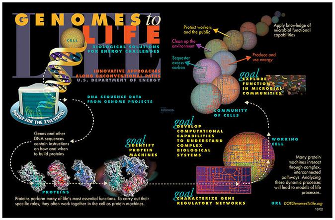 File: Genomics GTL Pictorial Program.jpg