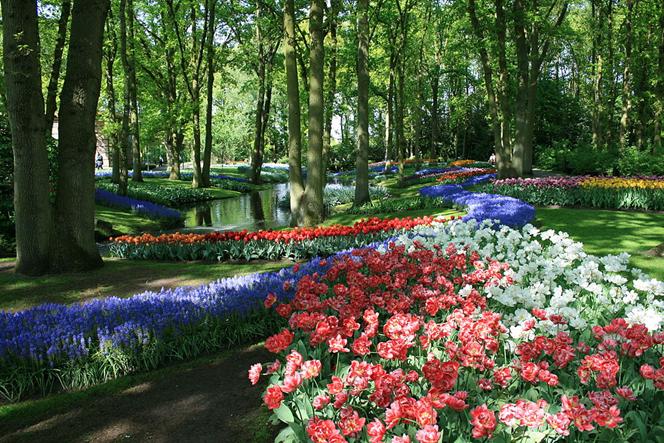 Keukenhof 340.JPG