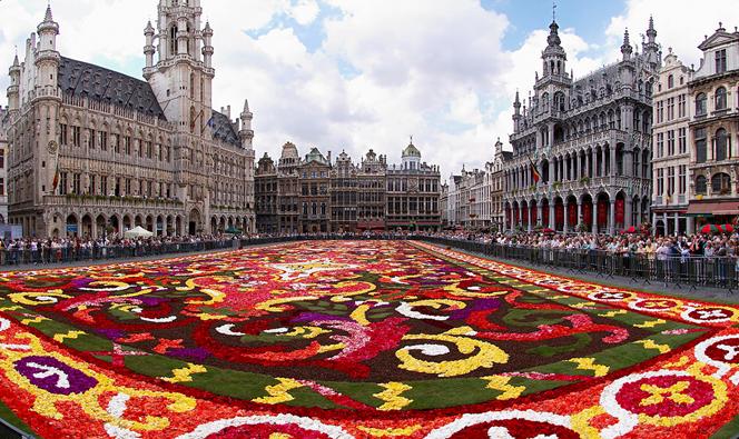 https://upload.wikimedia.org/wikipedia/commons/thumb/9/91/Brussels_floral_carpet_B.jpg/1280px-Brussels_floral_carpet_B.jpg