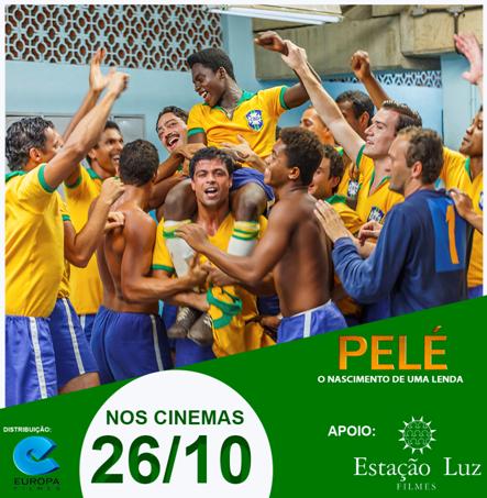 Imagem inline 1