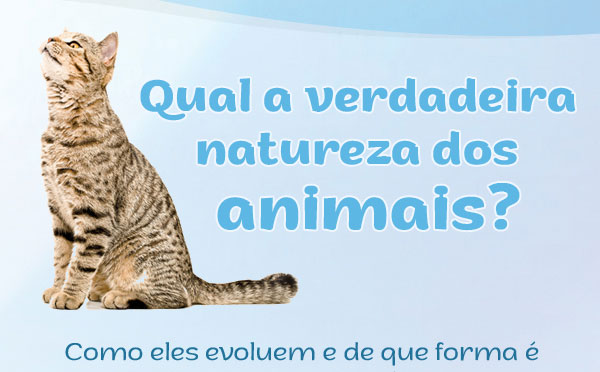 http://www.oclarim.com.br/marketing/promos/alma-animais/alma-animais_01.jpg
