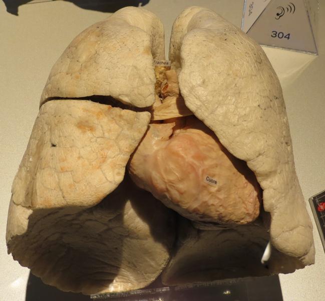 http://www.noticiasespiritas.com.br/2016/SETEMBRO/13-09-2016_arquivos/image013.jpg