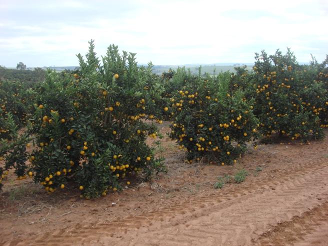 http://www.noticiasespiritas.com.br/2018/OUTUBRO/09-10-2018_arquivos/image060.jpg