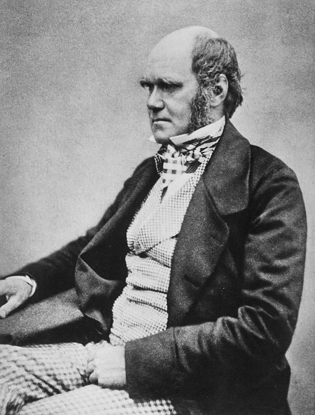 https://upload.wikimedia.org/wikipedia/commons/thumb/2/2e/Charles_Darwin_seated_crop.jpg/778px-Charles_Darwin_seated_crop.jpg