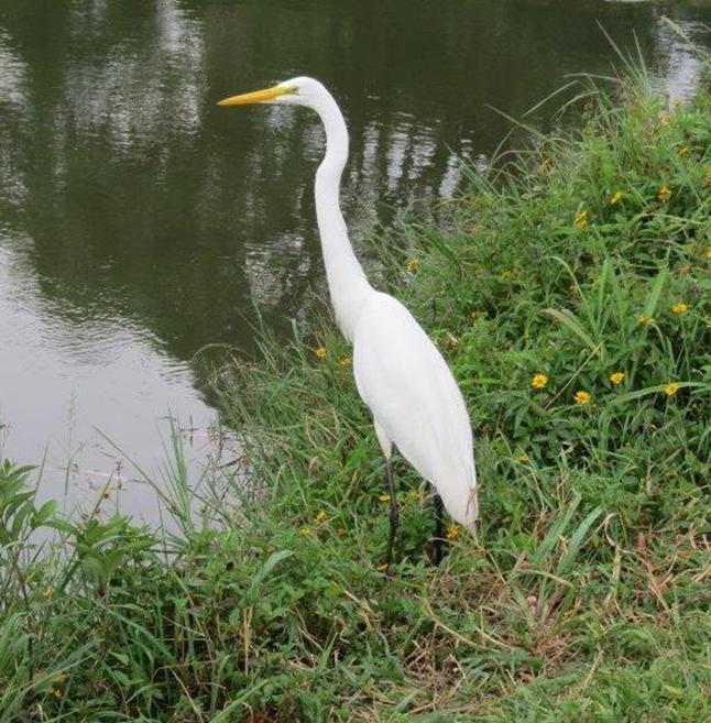 https://www.noticiasespiritas.com.br/2014/DEZEMBRO/04-12-2014_arquivos/image023.jpg