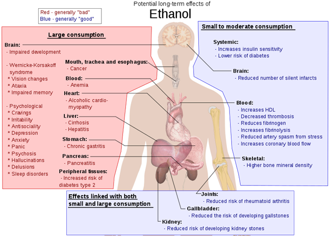 https://www.noticiasespiritas.com.br/2021/ABRIL/13-04-2021_arquivos/image041.png