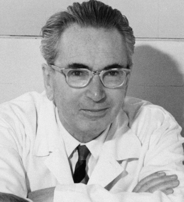 https://upload.wikimedia.org/wikipedia/commons/f/fe/Viktor_Frankl2.jpg