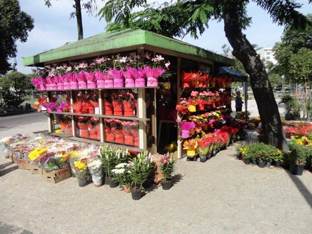 https://www.noticiasespiritas.com.br/2015/FEVEREIRO/18-02-2015_arquivos/image028.jpg