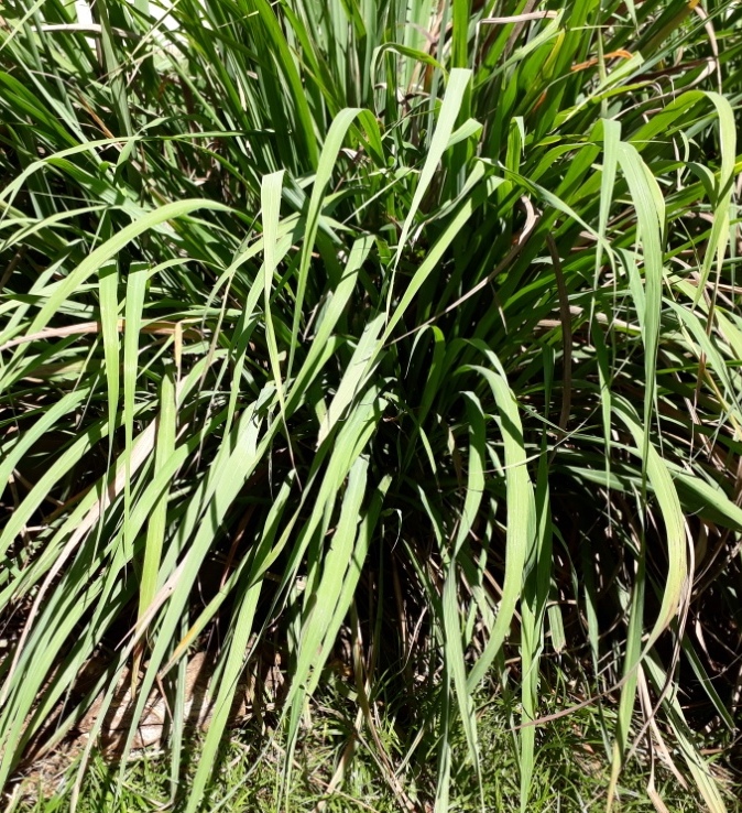 image012