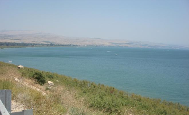 https://blogger.googleusercontent.com/img/a/AVvXsEjEnoMN_vvJrLPIX8a05oHtZDMHCohlHM6ttc9sLk5JE7UhIfKE2s7BBAqA_JTCful0hUscvP79WRYDaHWx0f6wSeTw9ZfDUn6nwi9nlHxRrr5jb96vZ6d1Ck09o7n9qRBOPK9d8vZd_4uc4-0cgRIdOPuml_3cGAL94QwA1jhkPtFvbTHhz1-uvuCJHQ