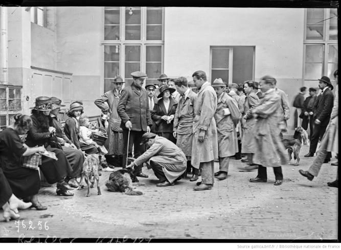 Escola de veterin�ria Alfort [estudantes e animais]: [fotografia de imprensa] / [Agence Rol]