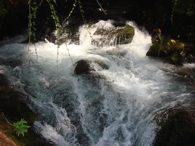 http://www.noticiasespiritas.com.br/2018/NOVEMBRO/22-11-2018_arquivos/image016.jpg